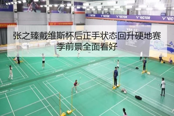 张之臻戴维斯杯后正手状态回升硬地赛季前景全面看好 | MKSPORTS